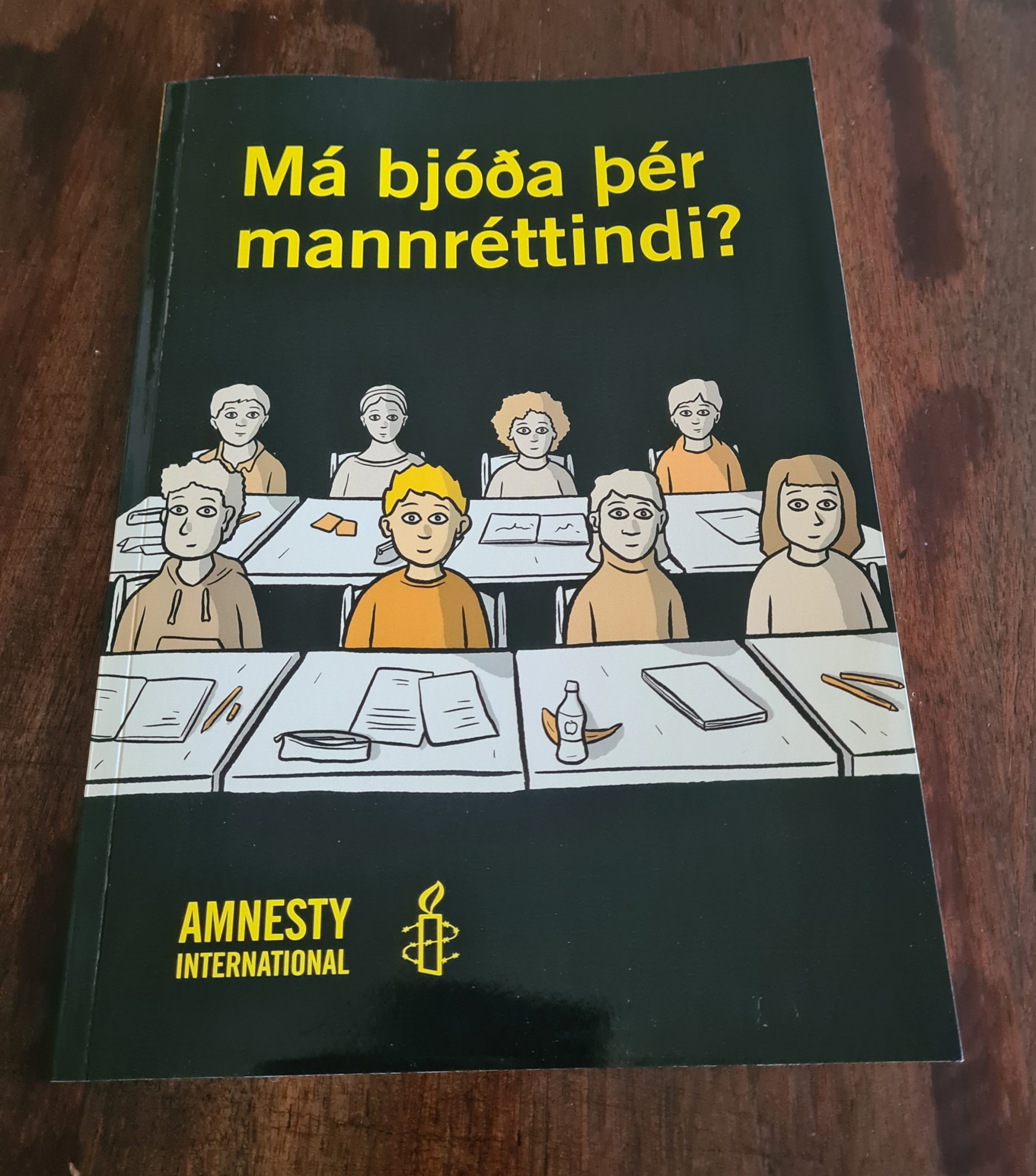 Myndasaga - Má bjóða þér mannréttindi? - Image 1